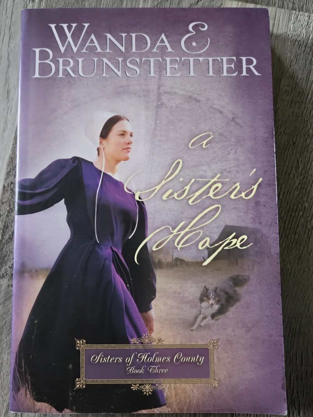 Wanda E Brunstetter Amish Fiction Book Lot Sisters of Holmes County Series 4pc - Picture 4 of 16